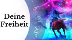 Die Richtung vorgeben - Einsichten (6)