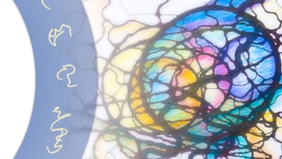 NeuroGraphik® Basiskurs