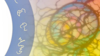 NeuroGraphik® Basiskurs Supervisionen